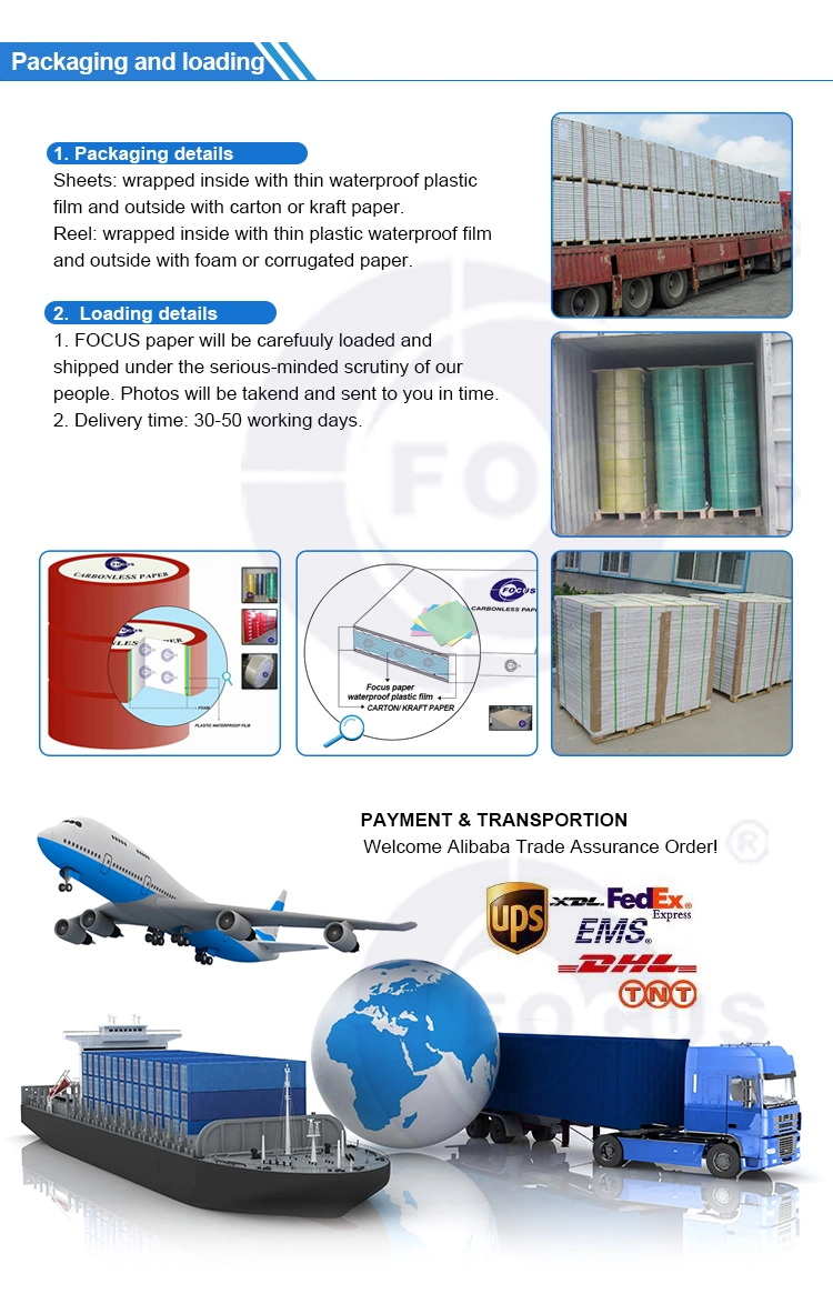 Focus Brand Carbonless Paper NCR Paper Blue/Black Imaging Carbonless Paper