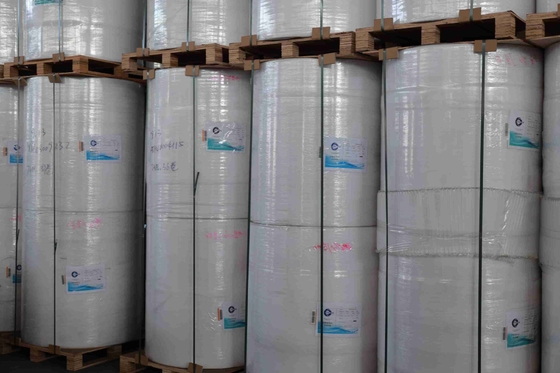 3 Inch Core Thermal Label Paper Roll Essential For Labeling Packaging In Various Industries