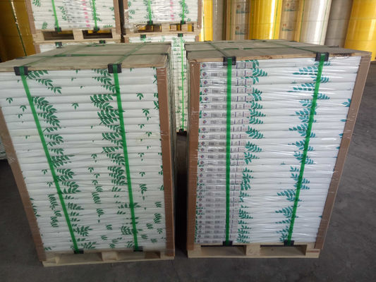 100% Virgin Wood Pulp NCR Paper with High Ink Absorption and Micro-Perforated Carbonless Copy Sheets