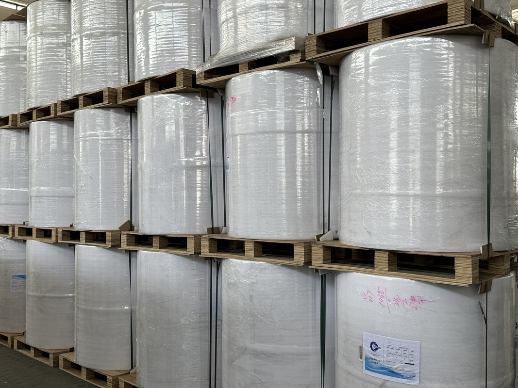Environmentally Friendly Jumbo Thermal Paper Roll Eco Friendly Solution For Printing Needs
