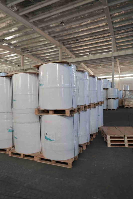 100% Imported Virgin Wood Pulp BPA Free Thermal Paper High Smoothness Strong Tension Long Imaging Life