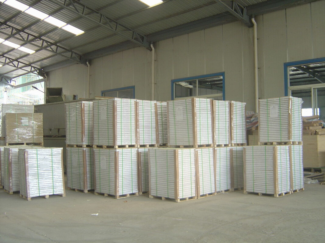 Focus Brand 70gsm 180gsm A3 A4 White Offset Paper Roll For Office Stationery