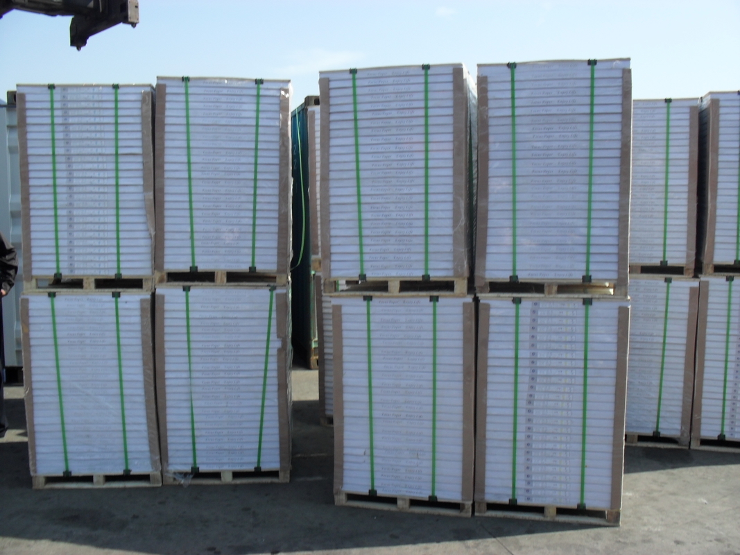 70gsm 180gsm Offset Printing Paper White Woodfree Paper Roll